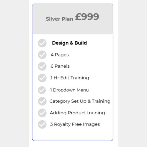 DecoPro Silver Website Plan Thumbnail